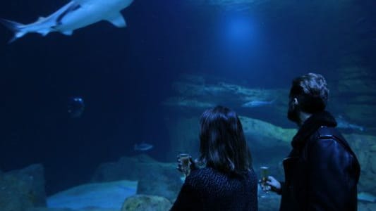 Est-ce qu'il est possible de faire une visite guidée dans un aquarium ? Lisez notre article !